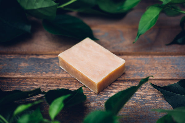 Turmeric & Honey with Alfalfa & Lemongrass Essential Oil Soap